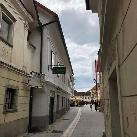 Apartma Linhartov Trg Radovljica Luaran gambar