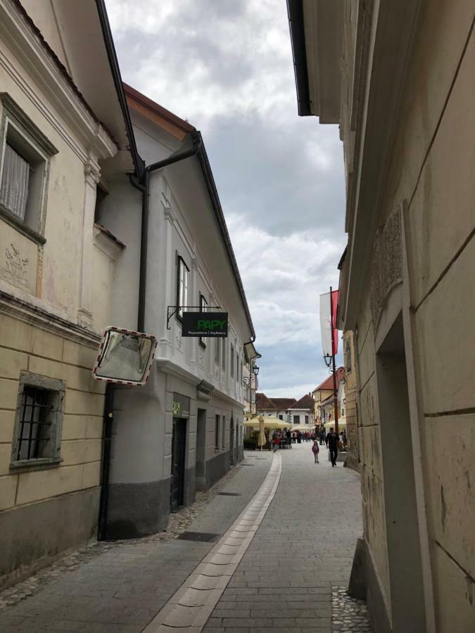 Apartma Linhartov Trg Radovljica Luaran gambar