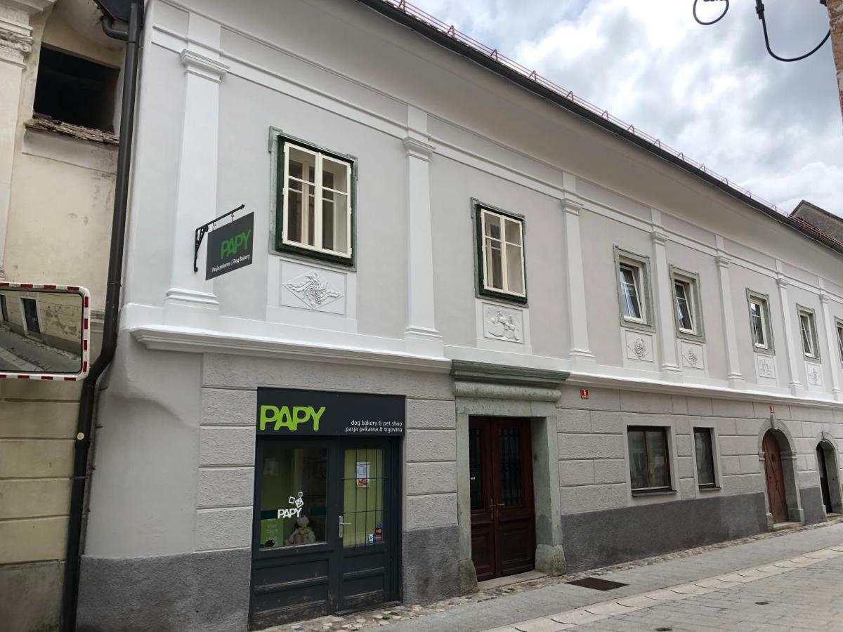 Apartma Linhartov Trg Radovljica Luaran gambar